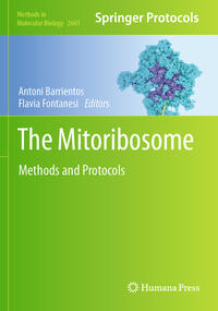 Vorderes Coverbild The Mitoribosome
