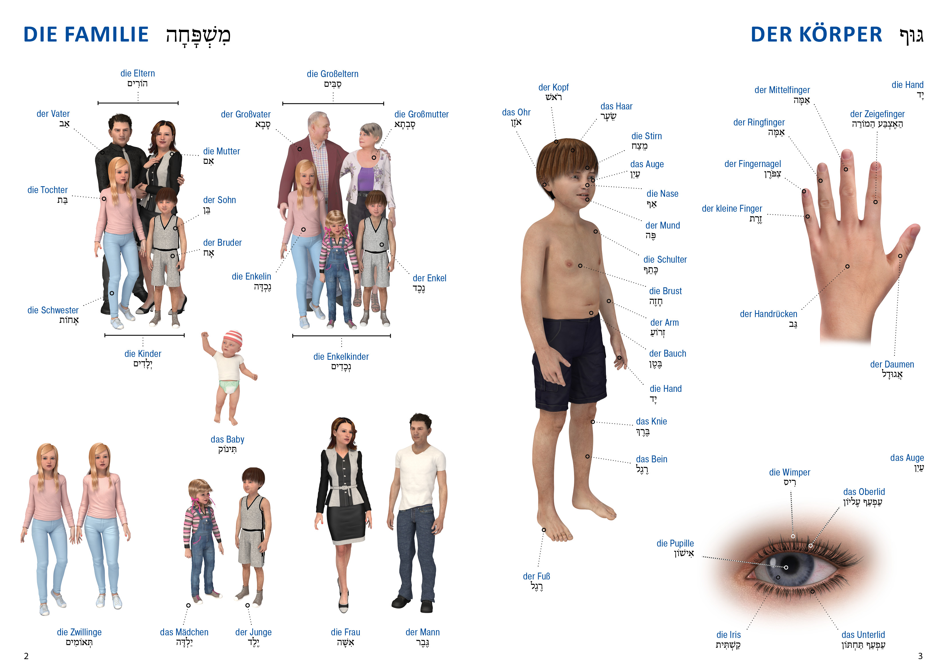 Beispielinhalt (Bild) Bildwörterbuch für Kinder und Eltern Hebräisch-Deutsch