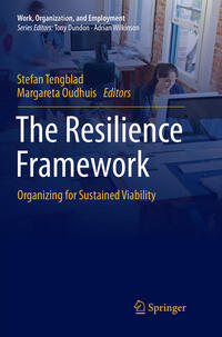 Vorderes Coverbild The Resilience Framework