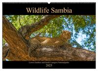 Vorderes Coverbild Wildlife Sambia (Wandkalender 2025 DIN A2 quer), CALVENDO Monatskalender