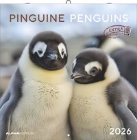 Vorderes Coverbild Pinguine 2026 - Broschürenkalender 30x30 cm (30x60 geöffnet) - Kalender mit Platz für Notizen - Penguins - Bildkalender - Wandplaner - Wandkalender