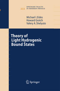 Vorderes Coverbild Theory of Light Hydrogenic Bound States