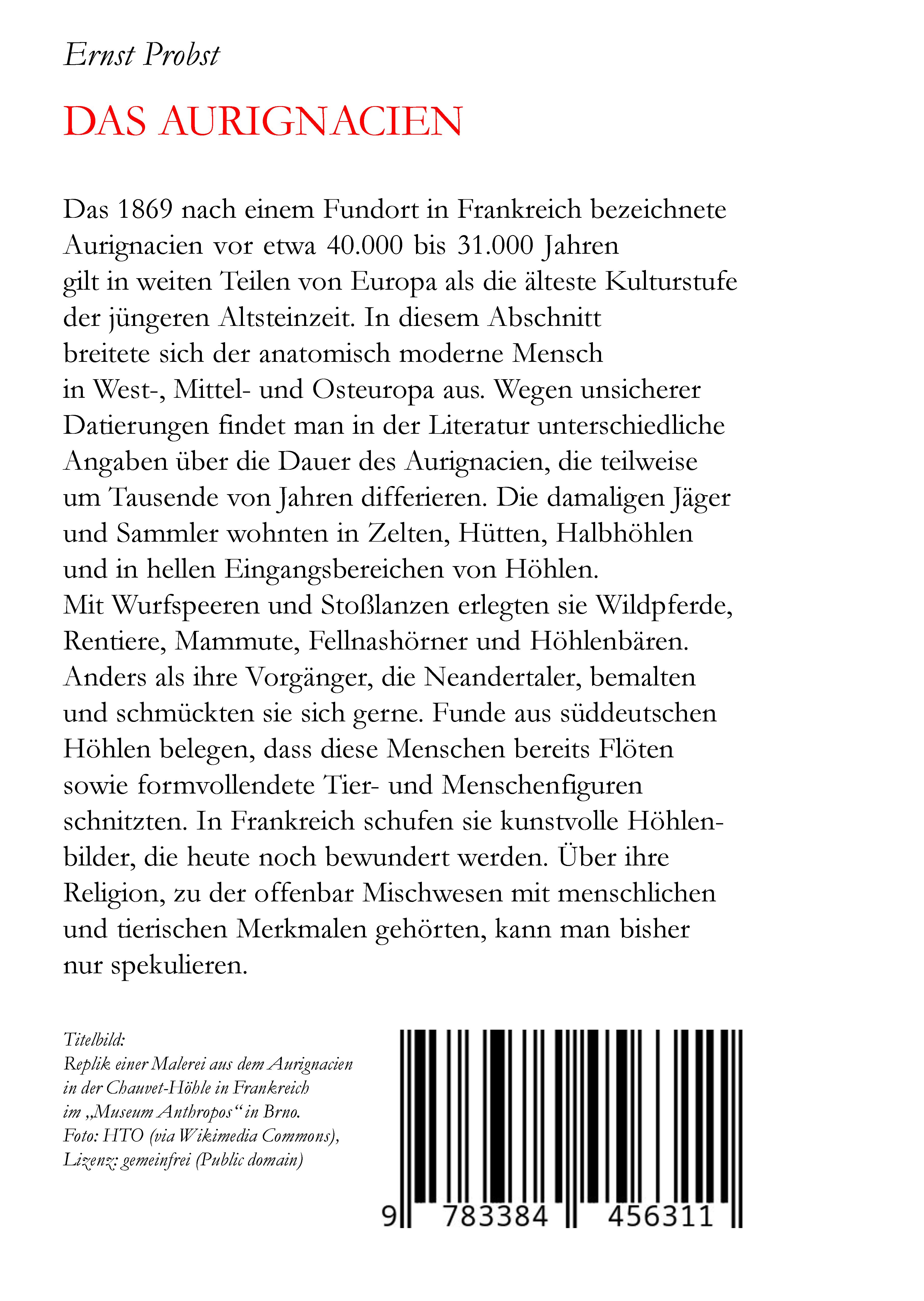 Rückseitencover Das Aurignacien