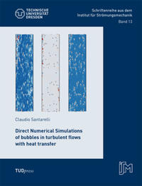 Vorderes Coverbild Direct Numerical Simulations of bubbles in turbulent flows with heat transfer