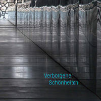 Vorderes Coverbild Verborgene Schönheiten