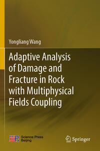 Vorderes Coverbild Adaptive Analysis of Damage and Fracture in Rock with Multiphysical Fields Coupling
