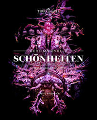 Vorderes Coverbild Geheimnisvolle Schönheiten