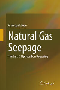 Vorderes Coverbild Natural Gas Seepage
