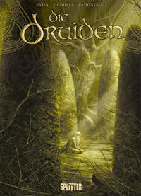 Vorderes Coverbild Druiden, Die