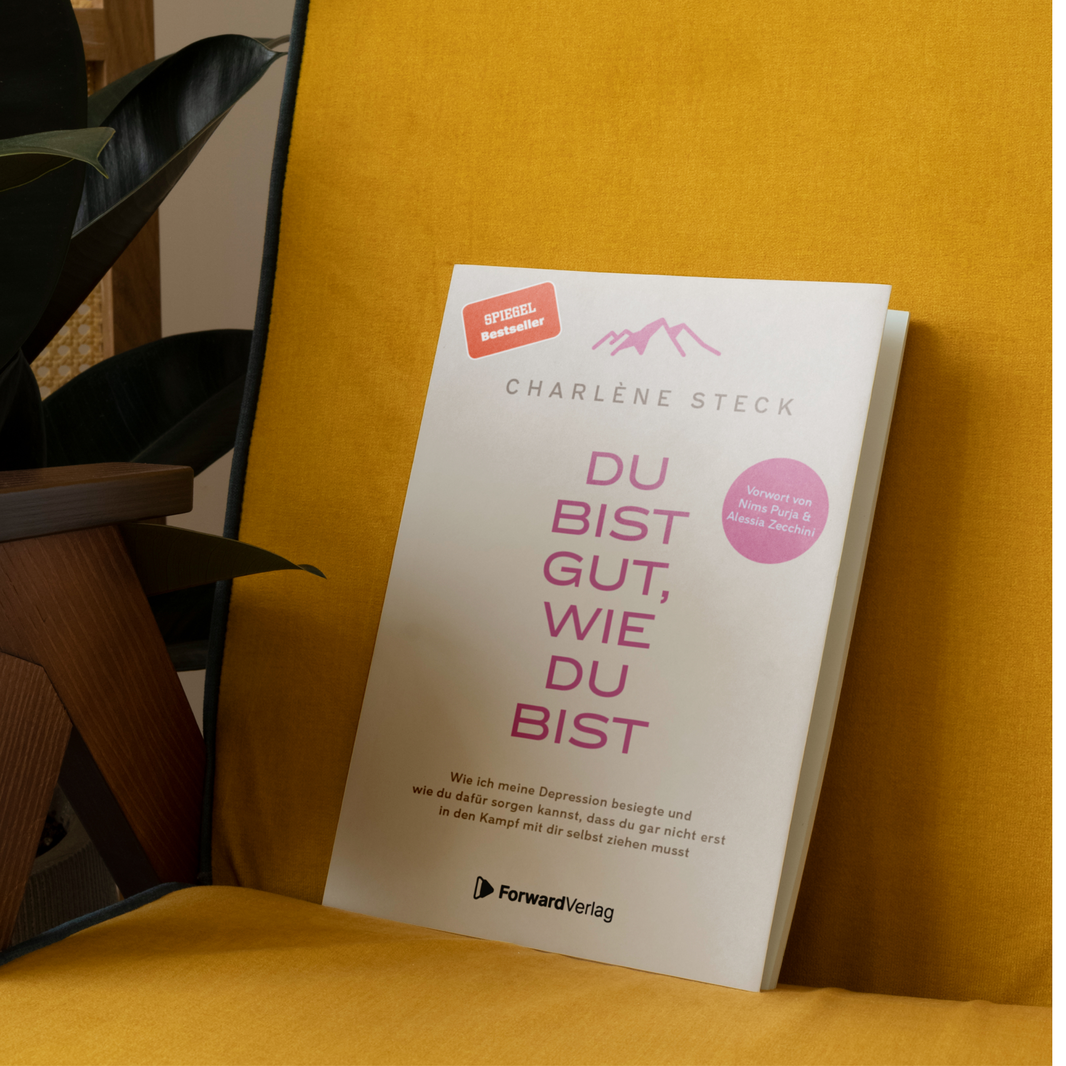 Anderes Coverbild Du bist gut, wie du bist