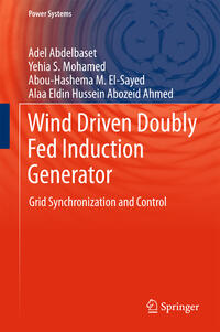 Vorderes Coverbild Wind Driven Doubly Fed Induction Generator