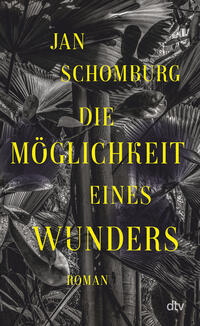 Vorderes Coverbild Die Möglichkeit eines Wunders