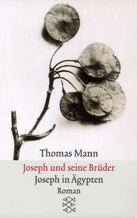 Vorderes Coverbild Joseph und seine Brüder III. Joseph in Ägypten