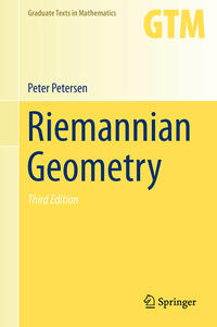 Vorderes Coverbild Riemannian Geometry