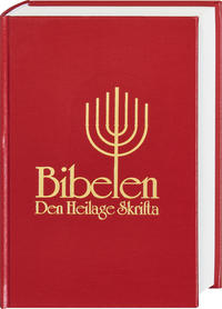 Vorderes Coverbild Bibel Norwegisch - Bibelen Nynorsk
