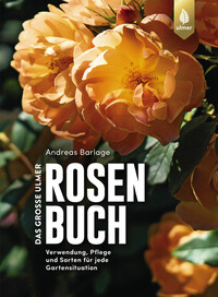 Vorderes Coverbild Das große Ulmer Rosenbuch
