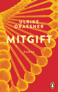 Vorderes Coverbild Mitgift