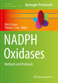 Vorderes Coverbild NADPH Oxidases