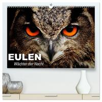 Vorderes Coverbild Eulen. Wächter der Nacht (hochwertiger Premium Wandkalender 2025 DIN A2 quer), Kunstdruck in Hochglanz