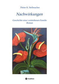 Vorderes Coverbild Nachwirkungen