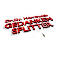 Vorderes Coverbild Gedankensplitter