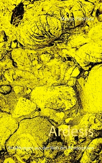 Vorderes Coverbild Ardesis
