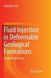 Vorderes Coverbild Fluid Injection in Deformable Geological Formations