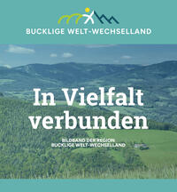 Vorderes Coverbild In Vielfalt verbunden