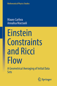 Vorderes Coverbild Einstein Constraints and Ricci Flow