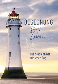 Vorderes Coverbild Begegnung fürs Leben, Motiv "Leuchtturm"