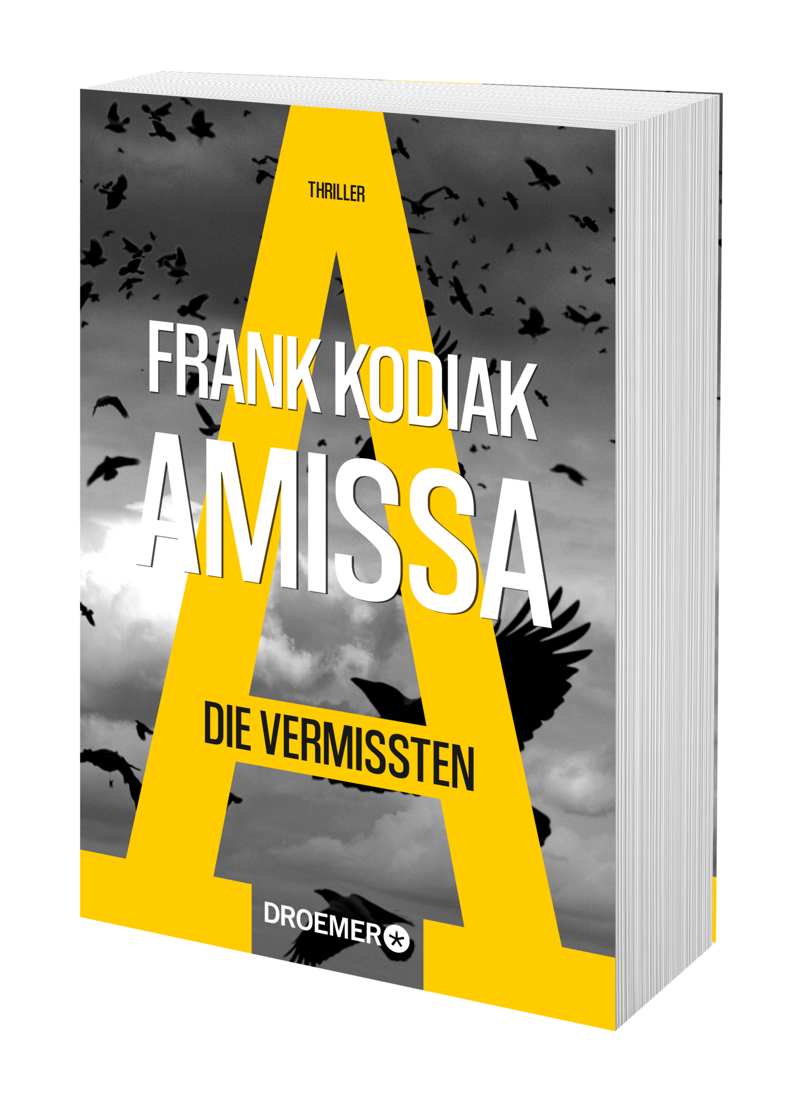 Anderes Coverbild Amissa. Die Vermissten