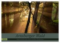 Vorderes Coverbild Arnsberger Wald (Wandkalender 2026 DIN A3 quer), CALVENDO Monatskalender