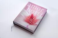Vorderes Coverbild amor horti