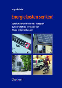 Vorderes Coverbild Energiekosten senken!