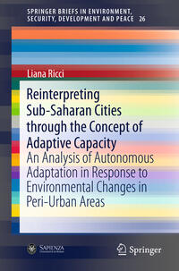 Vorderes Coverbild Reinterpreting Sub-Saharan Cities through the Concept of Adaptive Capacity