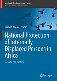 Vorderes Coverbild National Protection of Internally Displaced Persons in Africa