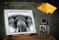 Vorderes Coverbild THE GIANTS WHISPER