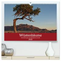 Vorderes Coverbild Wüstenbäume (hochwertiger Premium Wandkalender 2025 DIN A2 quer), Kunstdruck in Hochglanz