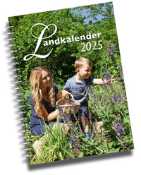 Vorderes Coverbild Landkalender 2025