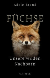 Vorderes Coverbild Füchse