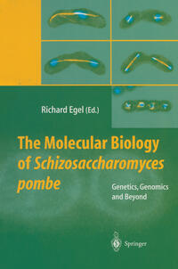 Vorderes Coverbild The Molecular Biology of Schizosaccharomyces pombe