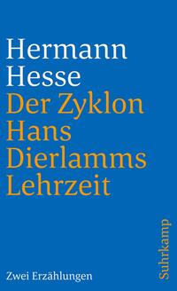 Vorderes Coverbild Der Zyklon und Hans Dierlamms Lehrzeit