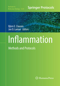 Vorderes Coverbild Inflammation