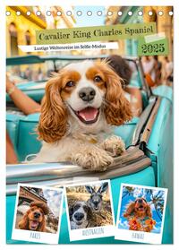 Vorderes Coverbild Cavalier King Charles Spaniel - Lustige Weltenreise im Selfie-Modus (Tischkalender 2025 DIN A5 hoch), CALVENDO Monatskalender