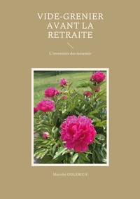 Vorderes Coverbild Vide-grenier avant la retraite