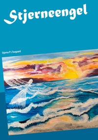 Vorderes Coverbild Stjerneengel