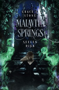 Vorderes Coverbild Malavita Springs
