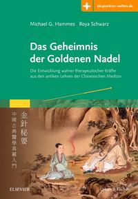 Vorderes Coverbild Das Geheimnis der Goldenen Nadel