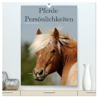 Vorderes Coverbild Pferde-Persönlichkeiten - ausdrucksstarke Gesichter verschiedener Pferderassen (hochwertiger Premium Wandkalender 2026 DIN A2 hoch), Kunstdruck in Hochglanz