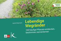 Vorderes Coverbild Lebendige Wegränder